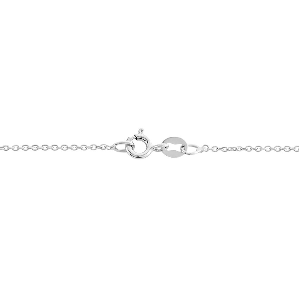 Catenina Silver Collection Argento Rodiato - Catenina Donna | Stroili