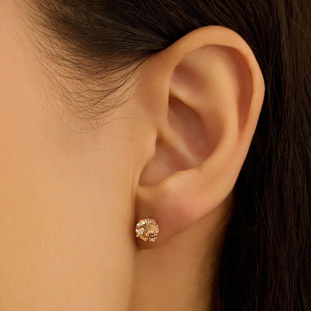 Orecchini Lobo Punto Luce Silver Rainbow Argento Rosa Cubic Zirconia