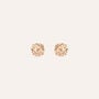 Orecchini Lobo Punto Luce Silver Rainbow Argento Rosa Cubic Zirconia