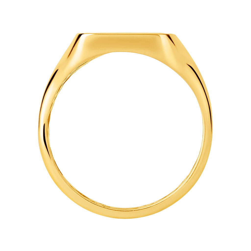 Anello Chevalier L'homme Or Oro Giallo Malachite - Anelli Chevalier Uomo | Stroili