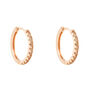 Orecchini A Cerchio Silver Rainbow Argento Rosa Cubic Zirconia