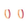 Orecchini A Cerchio Silver Rainbow Argento Rosa Cubic Zirconia