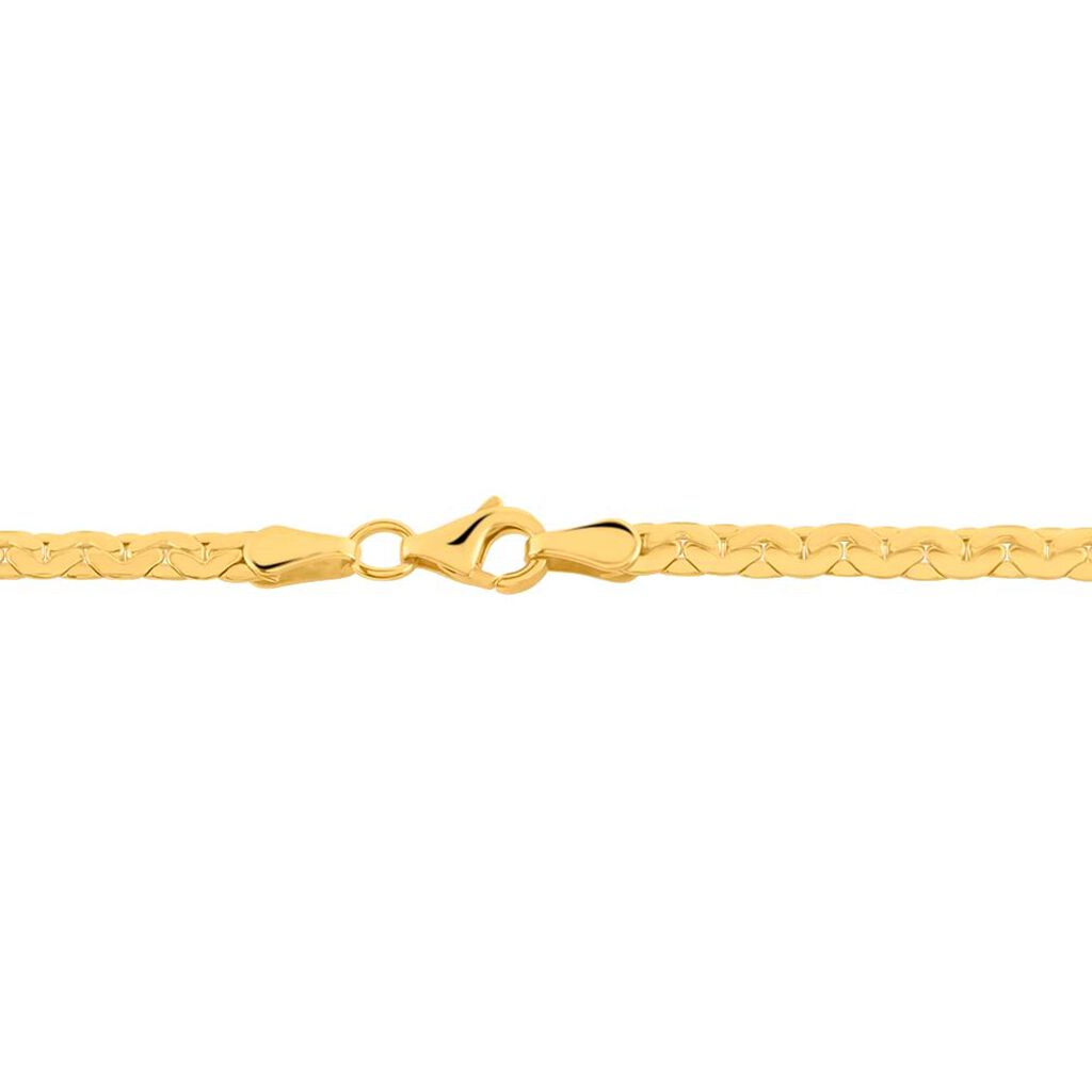 Catena Colette Oro Giallo - Collane Catena Donna | Stroili