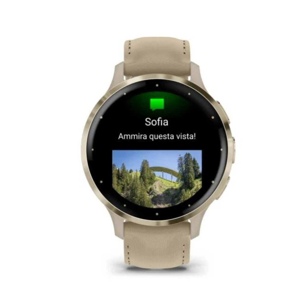 Smartwatch Garmin Venu 010-02785-55