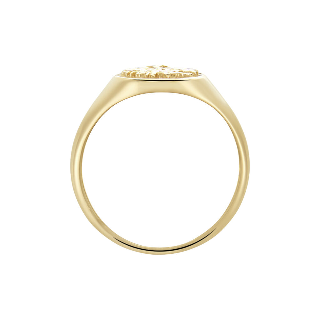 Anello Golden Dream Placcato Oro Giallo - Anelli Donna | Stroili