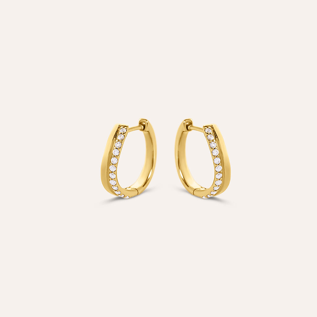 Orecchini A Cerchio Desideria Argento Nobile Dorato Cubic Zirconia