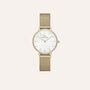 Orologio Al Quarzo Daniel Wellington Petite Lumine Bezel Evergold Dw00100662