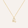 Collana Radiance Acciaio Dorato Cubic Zirconia