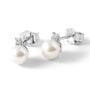 Orecchini Lobo Gabrielle Precious Oro Bianco Perla D'Acqua Dolce Diamante