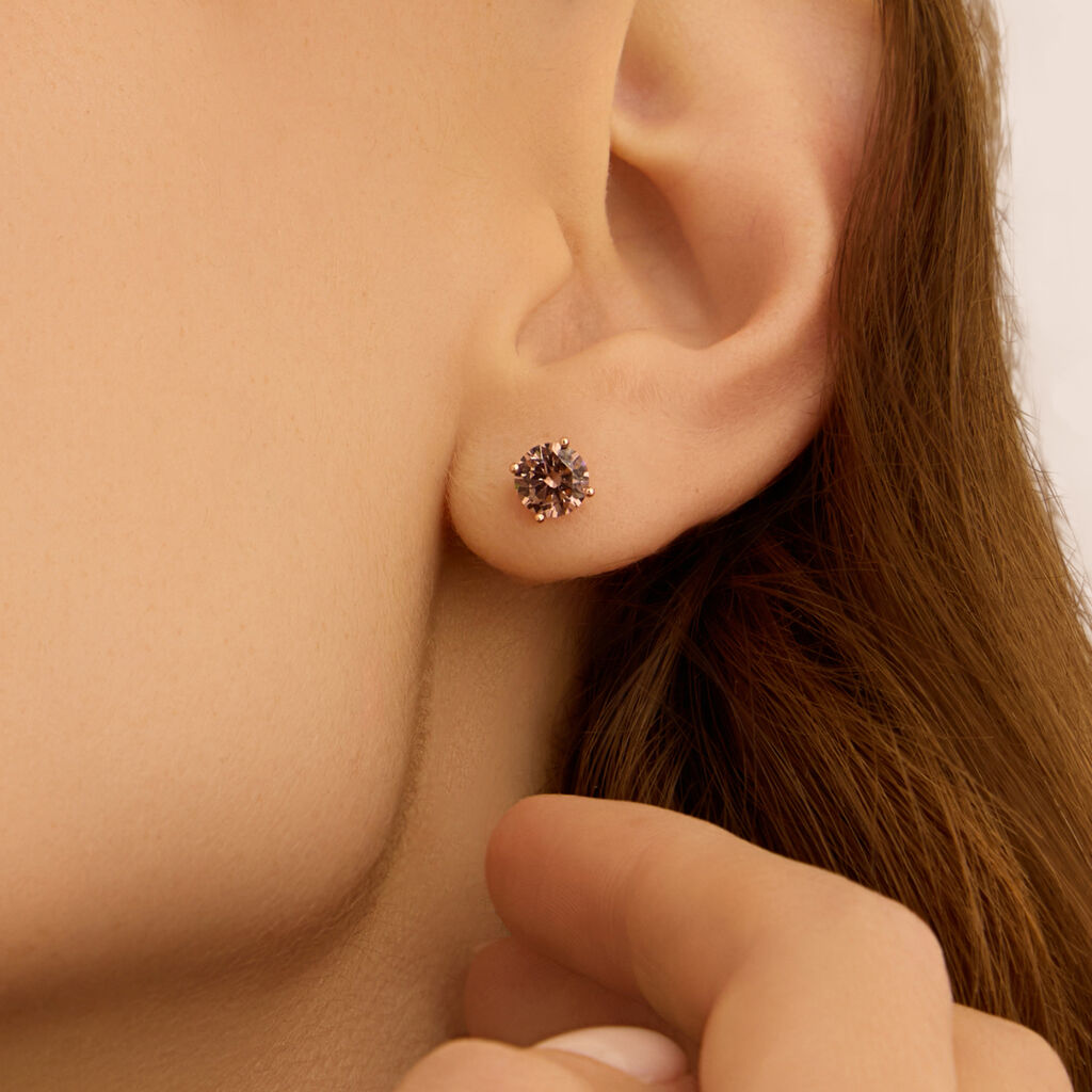 Orecchini Lobo Punto Luce Silver Rainbow Argento Rosato Cubic Zirconia