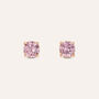 Orecchini Lobo Punto Luce Silver Rainbow Argento Rosa Cubic Zirconia