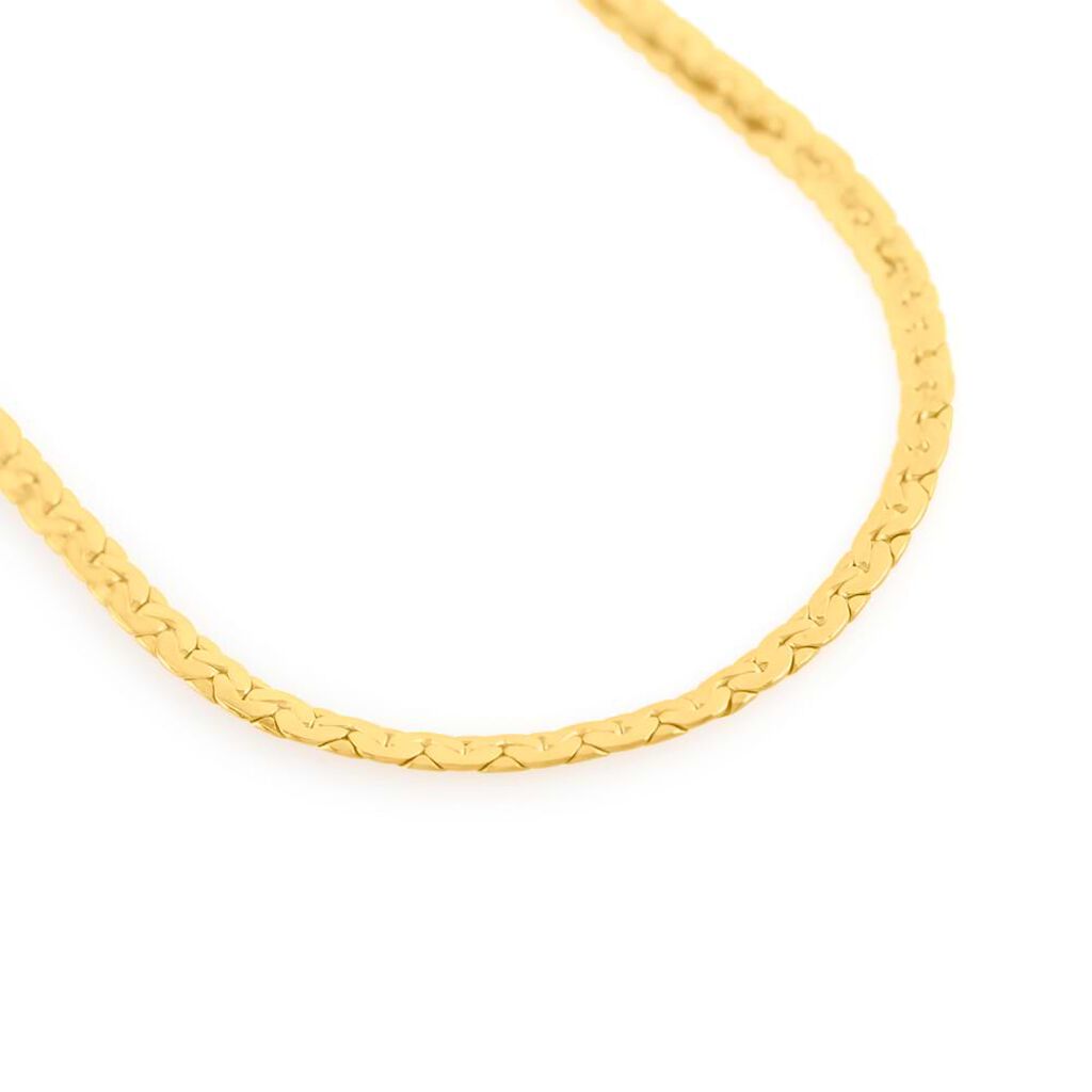 Catena Colette Oro Giallo - Collane Catena Donna | Stroili