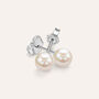Orecchini Lobo Silver Pearls Argento Rodiato Perla sintentica