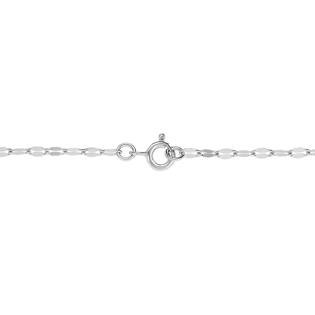 Catena Silver Collection Argento Rodiato - Collane Catena Donna | Stroili
