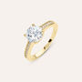 Anello Solitario Golden Dream Placcato Oro Giallo Cubic Zirconia