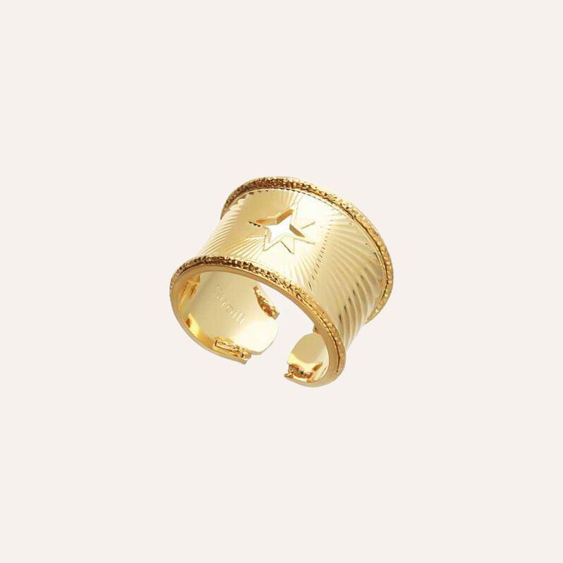 Anello rosa dei venti a fascia in bronzo dorato - Anelli Donna | Stroili