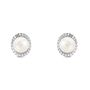 Orecchini Lobo Silver Pearls Argento Rodiato Perla sintentica Cubic Zirconia
