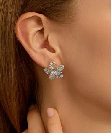 Orecchini Lobo Silver Shine Argento Rodiato Cubic Zirconia