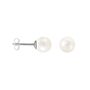 Orecchini Lobo Silver Pearls Argento Rodiato Perla sintentica
