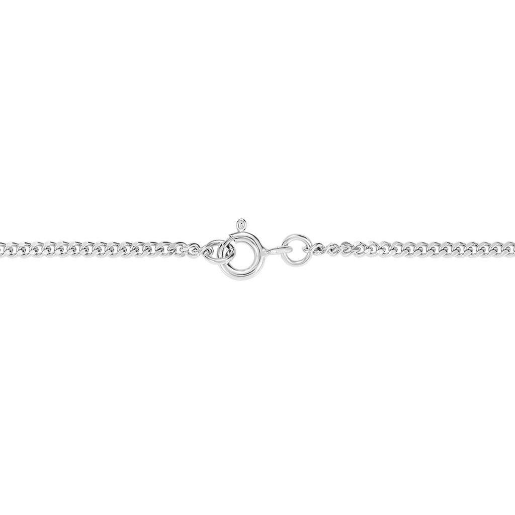 Catena Silver Collection Argento Rodiato - Collane Catena Donna | Stroili