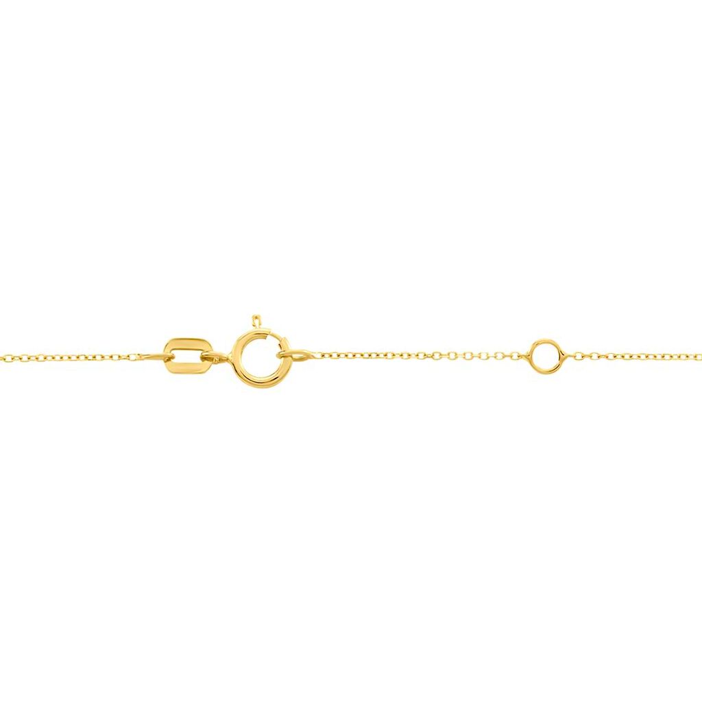 Catena Beverly Oro Giallo - Collane Catena Donna | Stroili