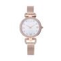 Orologio Al Quarzo Alviero Martini Madagascar Cs.4230l/03m