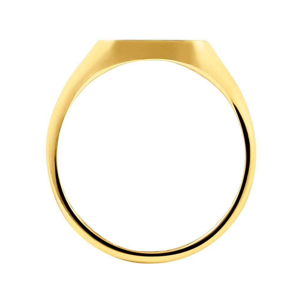 Anello Chevalier L'homme Or Oro Giallo - Anelli Chevalier Uomo | Stroili