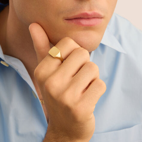 Anello Chevalier Oro Uomo Oro Giallo - Anelli Chevalier Uomo | Stroili
