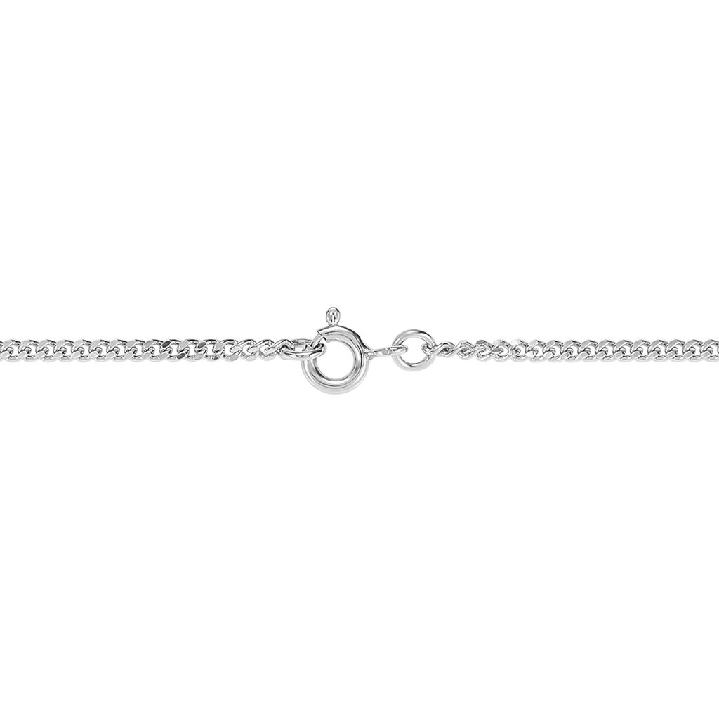 Catena Silver Collection Argento Rodiato - Collane Catena Donna | Stroili