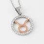 Collana Sunrise Acciaio Bicolore Bianco / Rosa Cubic Zirconia