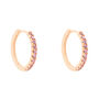 Orecchini A Cerchio Silver Rainbow Argento Rosa Cubic Zirconia