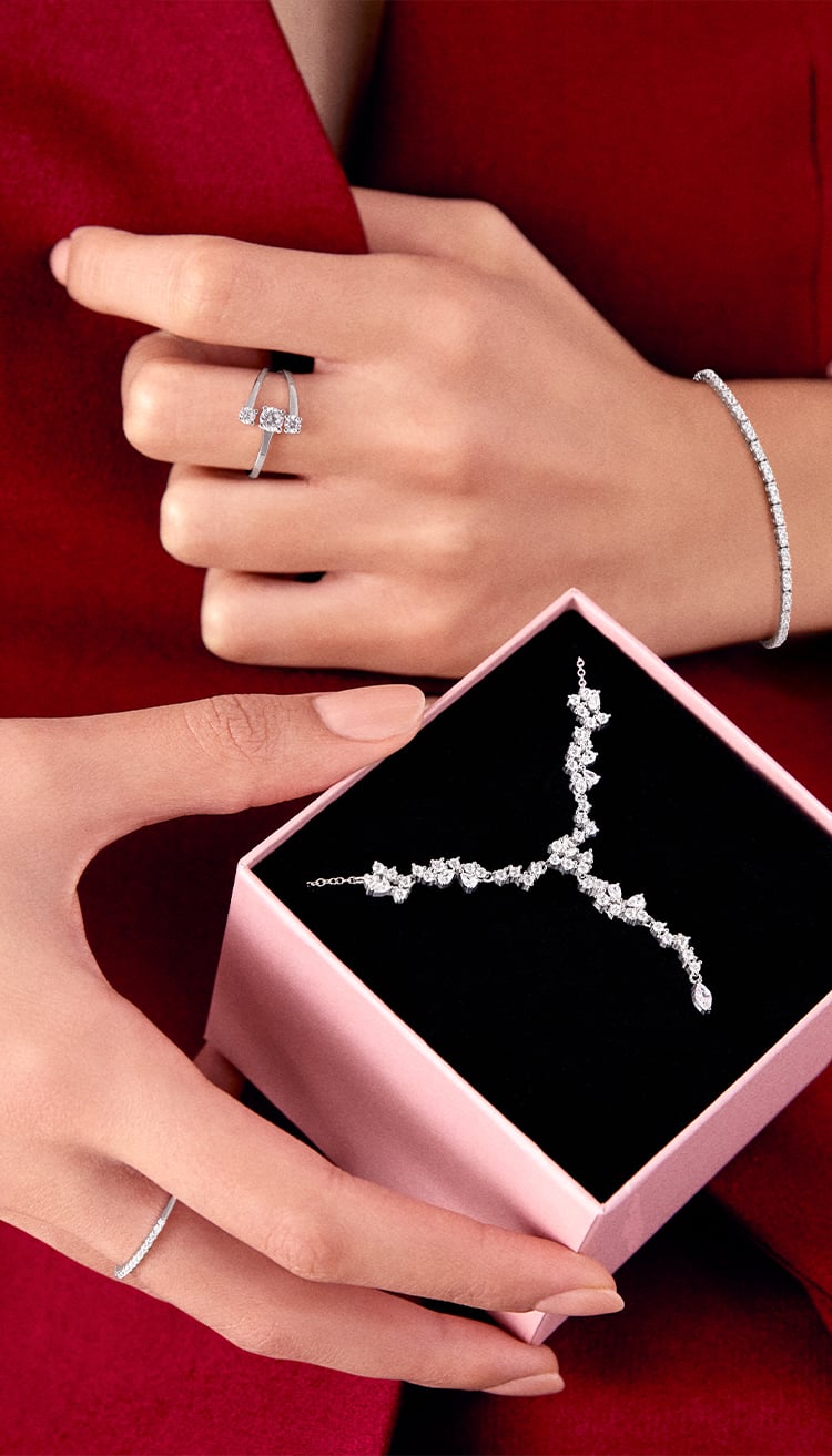 Description de l’image