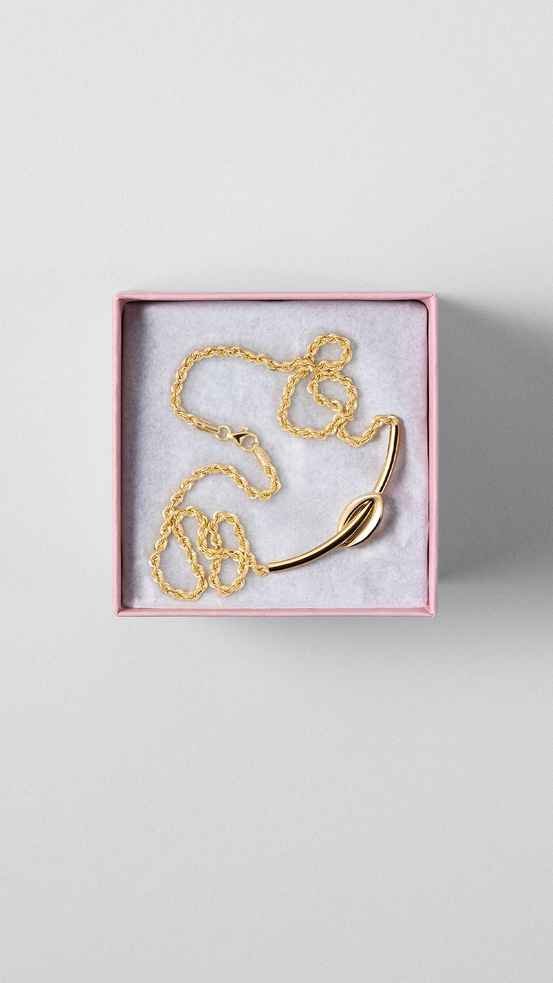 Description de l’image