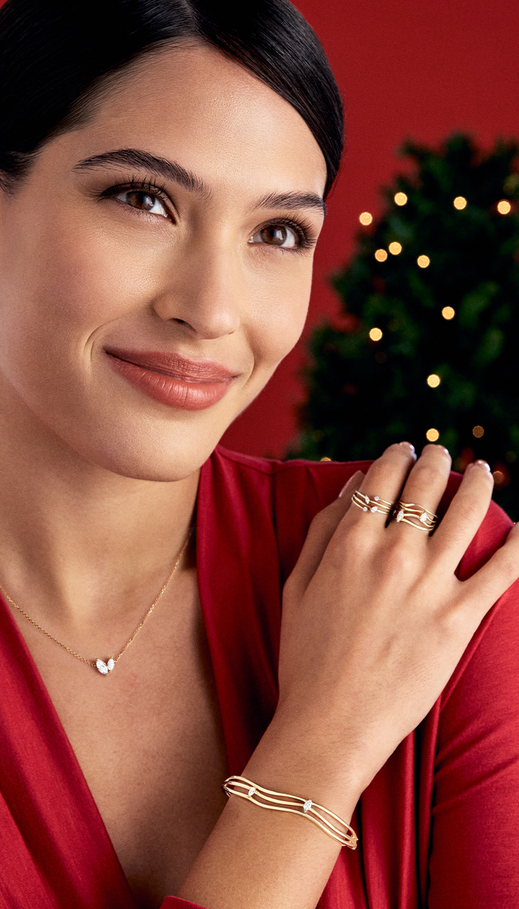 Description de l’image